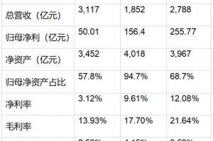 2024年成绩单曝光，保利、中海、华润三家谁强谁弱？