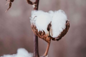 融铝锭的生产过程中有哪些秘密？这些秘密对产品质量有何影响？