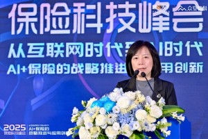 申能财险首席数字官李静：大模型如同球场上的后卫，企业应用软件和硬件分别是前锋和中场