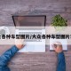 大众各种车型图片/大众各种车型图片对比