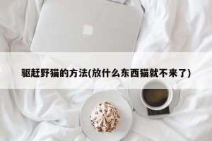 驱赶野猫的方法(放什么东西猫就不来了)