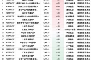 基金“自购潮”业绩显分化：29只权益类基金仅4为正收益，华安先进制造A年内跌12%垫底